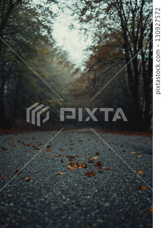 Leaves On The Concrete During Autumn  130927572