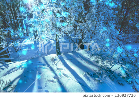 Winter snowy fairy wood. Rural winter landscape. Pine trees in snow Winter snowy fairy wood. Rural winter landscape. Pine trees in snow 130927726