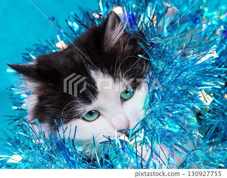 Funny little kitten wrapped in glitter Christmas garland on a blue background. Christmas concept 130927755