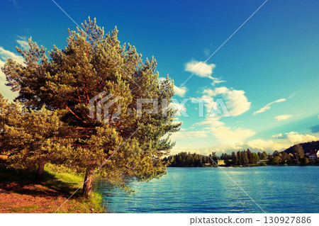 Lakeshore on a sunny day in autumn. View of Mjosa lake near Tangen. Beautiful nature of Norway, Europe Lakeshore on a sunny day in autumn. View of Mjosa lake near Tangen. Beautiful nature of Norway, Europe 130927886
