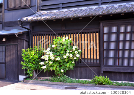 Old private house and hydrangea 130928304