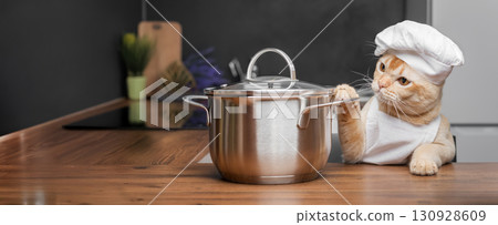 Burmese cat dressed as a chef with a saucepan in the kitchen. 130928609
