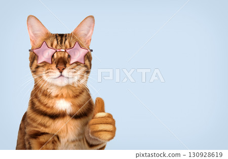 Bengal cat wearing glasses with thumb up on blue background Bengal cat wearing glasses with thumb up on blue background 130928619