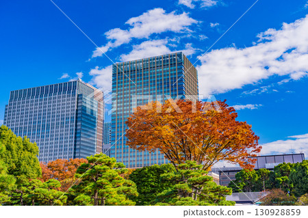 (東京)秋季從日比谷公園眺望丸之內大樓 (東京)秋季從日比谷公園眺望丸之內大樓 130928859