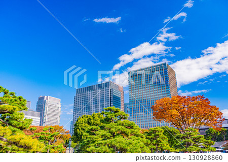 (Tokyo) View of Marunouchi buildings from Hibiya Park in autumn 130928860