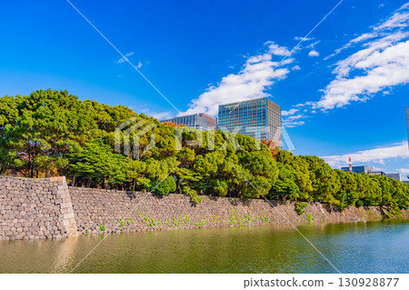 (東京)馬場堀護城河和皇居外苑紅葉 (東京)馬場堀護城河和皇居外苑紅葉 130928877
