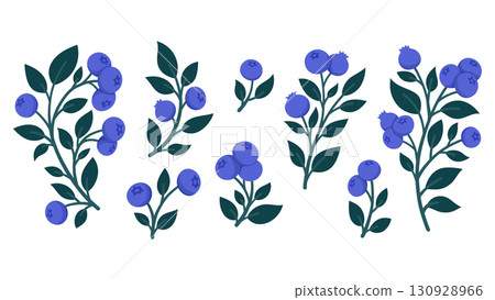 Set of Hand Drawn Blueberry Branches with Ripe Berries and Leaves. Cute Botanical Illustrations for Packaging, Kitchen Decor, Stickers, Labels, Logos, Farmers Market or Food Branding 130928966