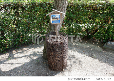 Kagawa Prefecture, Takamatsu Castle Ruins, Pine Cone Collection Box 130928976