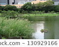 Former Shiba Rikyu Gardens with a pond 130929166