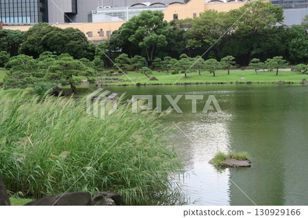 Former Shiba Rikyu Gardens with a pond 130929166
