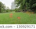 Cityscape with garden and red spider lilies 130929171