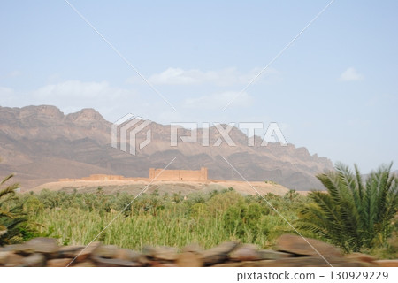 Dating plantation in Morocco 130929229