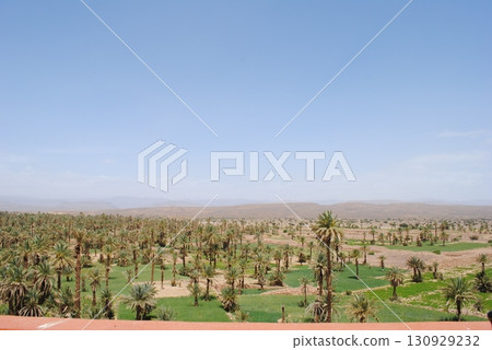 Aerial view of a Oasis in desert, UAE 130929232