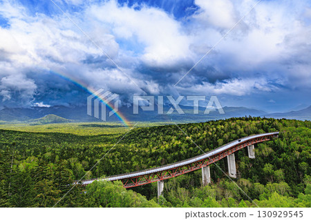 彩虹橫跨大雪山國立公園鬱鬱蔥蔥的綠地 130929545