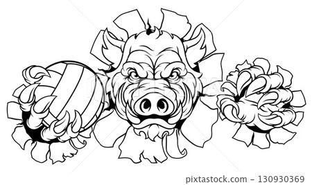 Boar Razorback Hog Volleyball Volley Ball Mascot Boar Razorback Hog Volleyball Volley Ball Mascot 130930369