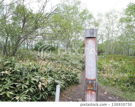 東努普考希努普里峰頂 130930730