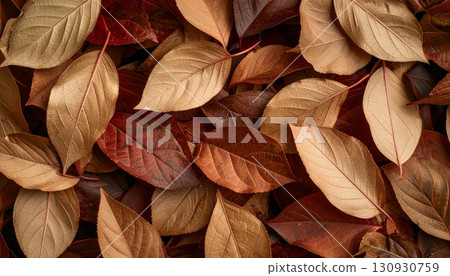 Brown fallen leaves texture 4 130930759