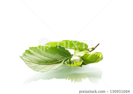 Fresh green hazelnut with natural leaves isolated 130931084
