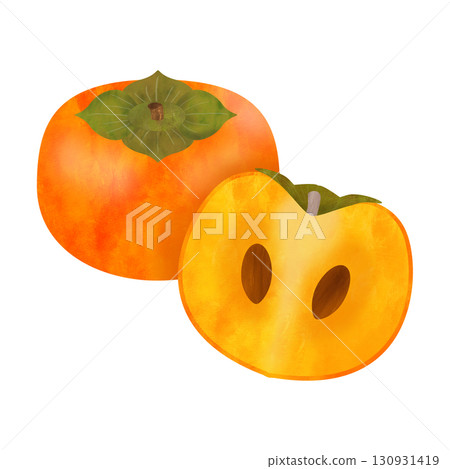 Persimmon cross-section illustration watercolor style 130931419