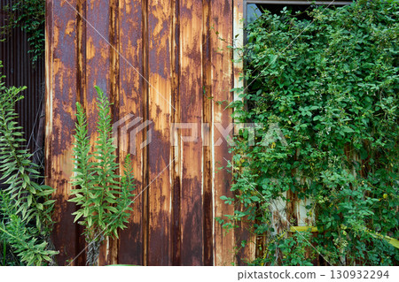 Weeds covering the broken windows. The exterior of the building is a symbol of the problem of vacant houses. 130932294