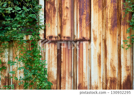 Weeds covering the broken windows. The exterior of the building is a symbol of the problem of vacant houses. 130932295