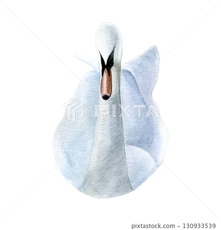 Watercolor of swan bird. Hand-painted white bird isolated on a white background. Good for postcards, invitations, greeting cards Watercolor of swan bird. Hand-painted white bird isolated on a white background. Good for postcards, invitations, greeting cards 130933539