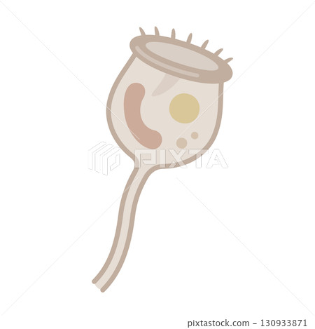 Illustration material of a cute vorticella Illustration material of a cute vorticella 130933871