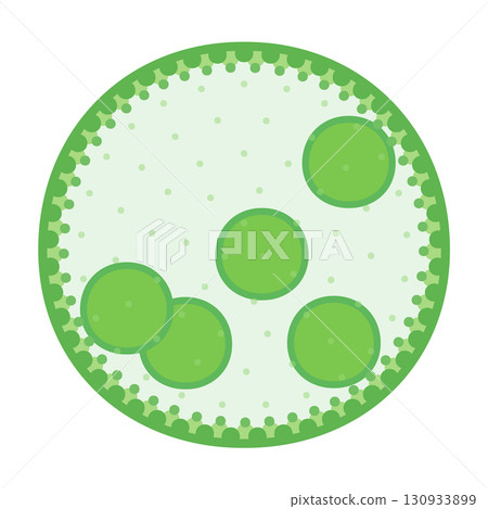 Cute Volvox illustration material Cute Volvox illustration material 130933899