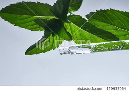A pipette with serum in mint leaves. A pipette with serum in mint leaves. 130933964