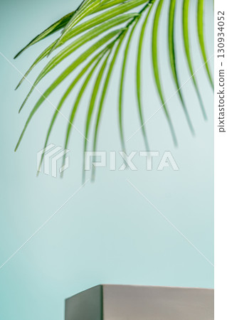 Minimal summer backdrop with podium and green palm leaf Minimal summer backdrop with podium and green palm leaf 130934052