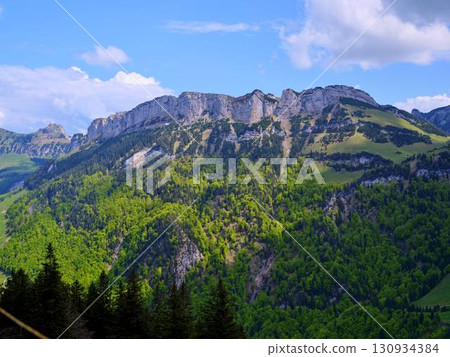 Majestic mountain range with lush green forests under a bright blue sky in summer 130934384