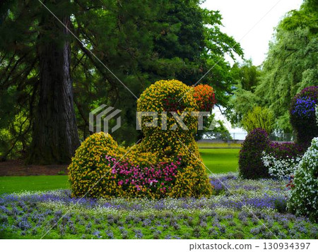 Colorful topiary duck sculpture in a vibrant garden setting surrounded by rich greenery and blooming flowers during springtime 130934397