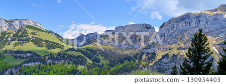 Majestic mountain landscape showcases lush greenery and rocky peaks on a clear day in the Swiss Alps 130934403