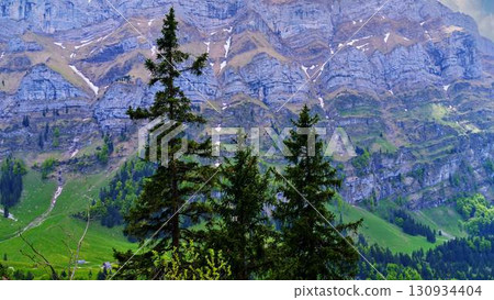 Majestic mountain landscape showcasing pine trees and rocky terrain under a clear sky in early morning light 130934404
