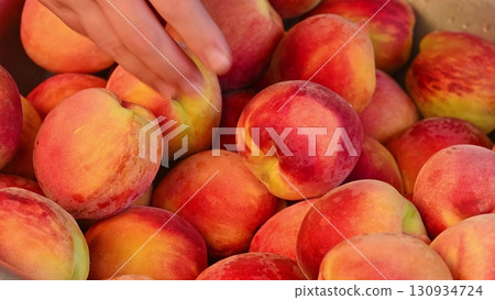A bunch of red and yellow peaches A bunch of red and yellow peaches 130934724