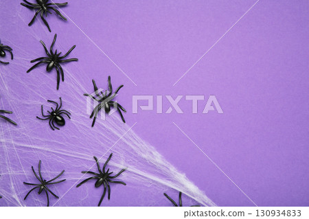 Halloween background with spider web and spiders as symbols of Halloween on violet background. 130934833