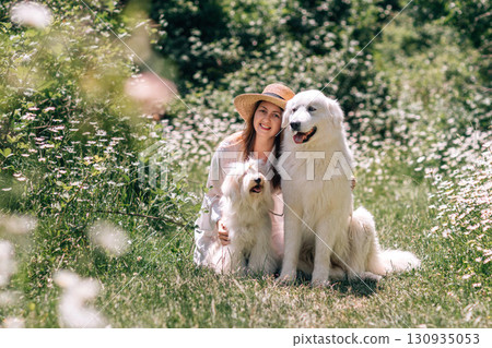 Dogs woman nature: Girl hugs Great Pyrenees, Coton de Tulear in the daisy field, summer day for friendship. 130935053