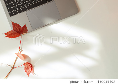 Workspace with Laptop and Autumn Leaves under Sun light Workspace with Laptop and Autumn Leaves under Sun light 130935198