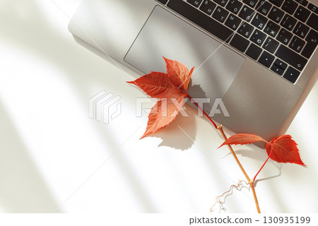 Workspace with Laptop and Autumn Leaves under Sun light Workspace with Laptop and Autumn Leaves under Sun light 130935199