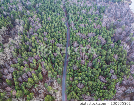 Aerial view of road in beautiful autumn forest at sunset. Beautiful landscape with empty rural road, trees with red and orange leaves. 130935501