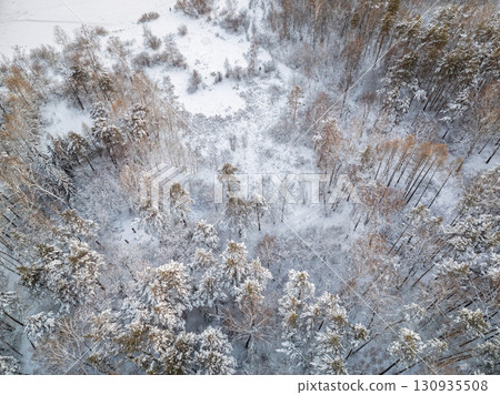 Aerial view of a winter pine forest. Top view of snow-covered pine trees. Beautiful winter forest landscape. 130935508