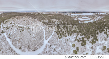 Aerial view of a winter pine forest. Top view of snow-covered pine trees. Beautiful winter forest landscape. 130935519