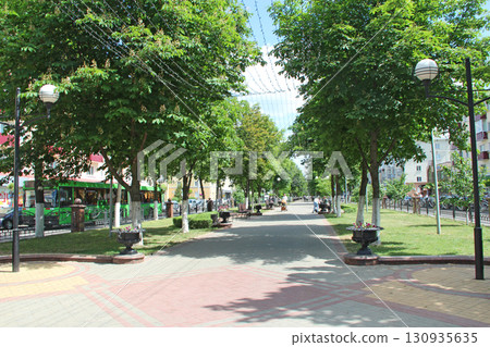 Urban panorama with chestnut trees in city park and cars. Urban view Urban panorama with chestnut trees in city park and cars. Urban view 130935635