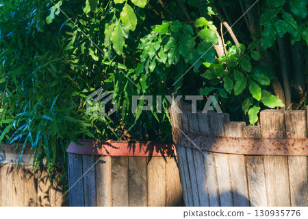 Growing plants in wooden containers promotes sustainability and green living in urban spaces Growing plants in wooden containers promotes sustainability and green living in urban spaces 130935776