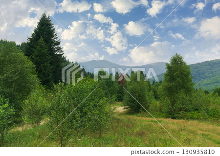 Explore the beautiful mountain path surrounded by lush forests and vibrant greenery Explore the beautiful mountain path surrounded by lush forests and vibrant greenery 130935810