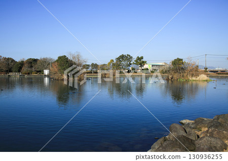 熊本縣鹿島町浮島池 熊本縣鹿島町浮島池 130936255