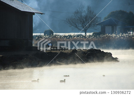 熊本縣鹿島町浮島池 130936272