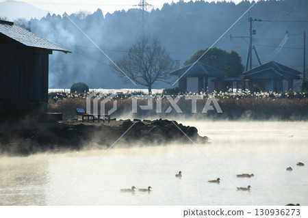 Ukishima Pond, Kashima Town, Kumamoto Prefecture 130936273