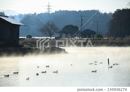 Ukishima Pond, Kashima Town, Kumamoto Prefecture 130936274