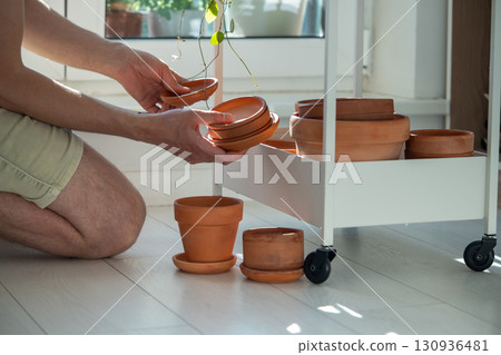 Man gardener choose flowerpot tray for terracotta pot for transplanting plant at home Man gardener choose flowerpot tray for terracotta pot for transplanting plant at home 130936481
